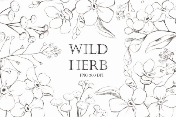 Download Wildflower Png. Vintage Flowers - Premium Resources